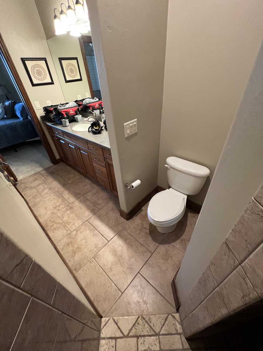 Bathroom before, old standard toilet