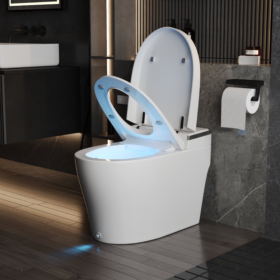 Deer Valley DV-0029 smart toilet